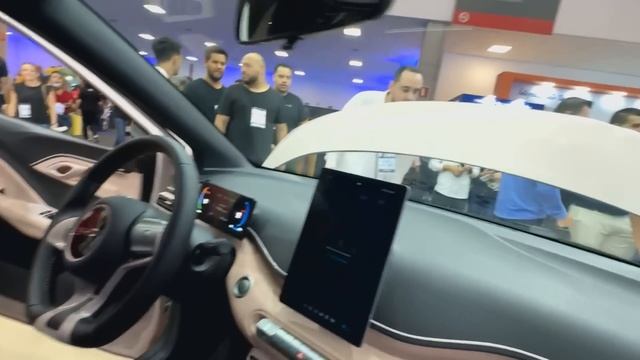 BYD DOLPHIN MINI: O CARRO ELÉTRICO MAIS BARATO DO BRASIL?