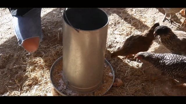 Mariah the Teenage Farm Girl - A Mini Documentary смотреть онлайн