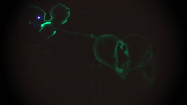 Шоу световых картин смотреть онлайн