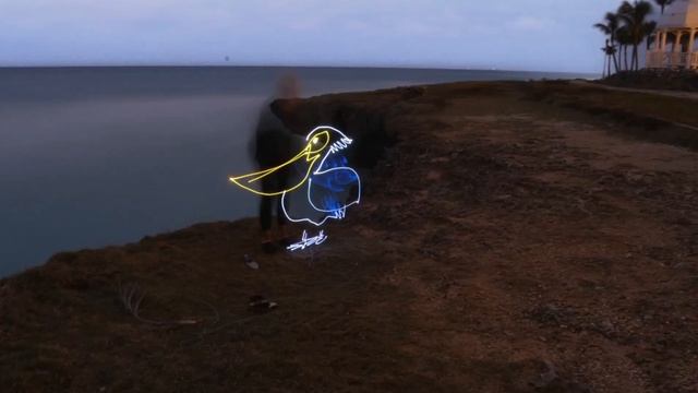 My Light Pelicans / Мои Световые Пеликаны смотреть онлайн