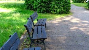 Песня дрозда.