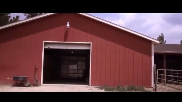 Horse Documentary BBC - Animal Planet 2016 смотреть онлайн