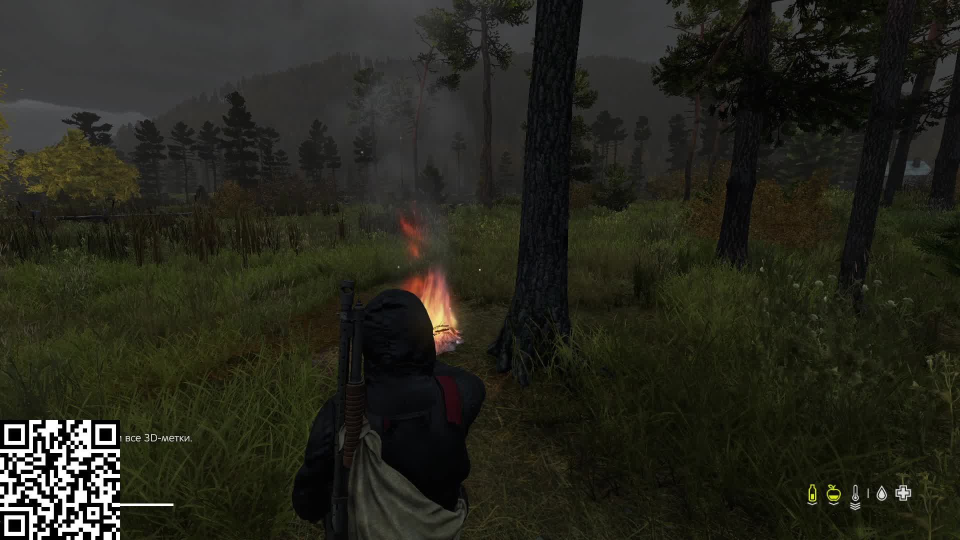 Играем в Dayz