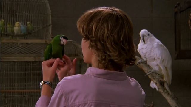 В мире Дискавери