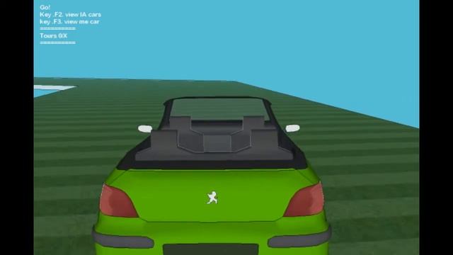 Sketchup Sketchyphysics   Peugeot 206 Vs Citroen DS
