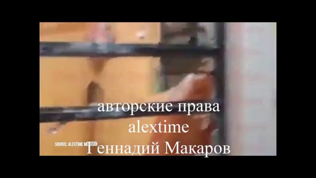 Алексей Макеев в беде. Звоним его маме Эмме Николаевне Макеевой смотреть онлайн