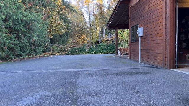 2008 Range Rover Supercharged cold start and air suspension demo смотреть онлайн