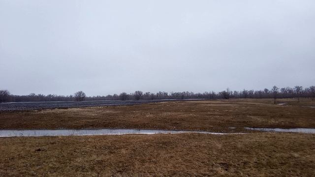 Исчезнувший хутор Брунненфельд, Балаковский район.