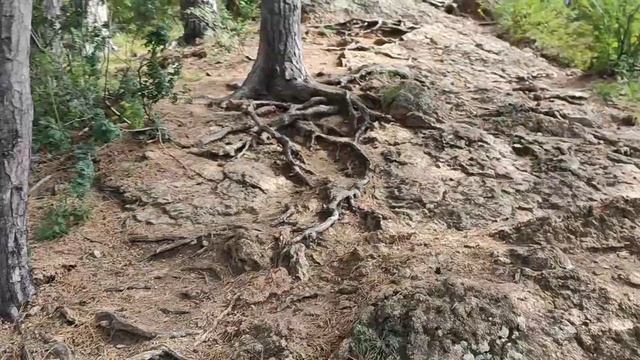 Скала Такмак. Красноярские столбы. Остров Татышев) смотреть онлайн