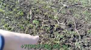 Работа в поле !