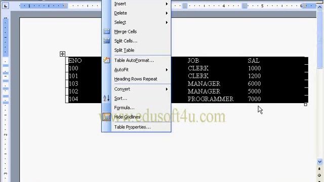 Table Menu Options in MS Word Part 2 (MS Office 2003 in Telugu) смотреть онлайн