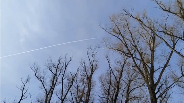 зарисовки смотреть онлайн