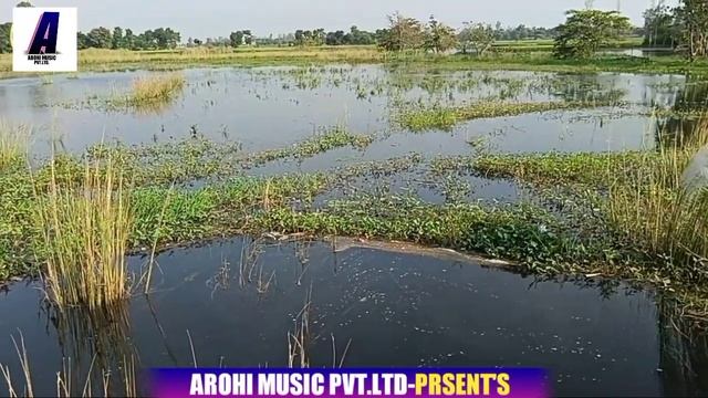 #Video | #Shailendra Gaur Azamgarh | चल मछरिया मारैं ना | Shailendra Gaur Ki Comedy Video смотреть онлайн