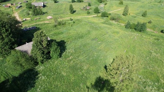 Деревня Скорюково (Кичменгско-Городецкий район)