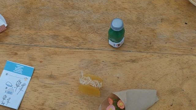 NEW? MINI VERSE LIFESTYLE HOME MINI POPPY BOUQUET смотреть онлайн