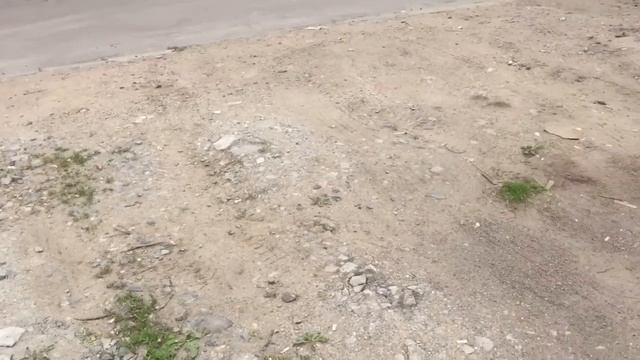 Штраф за газон или как мади обнаглело в Москве смотреть онлайн