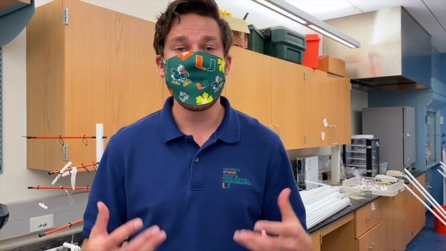 Rosenstiel School Undergraduate Tour смотреть онлайн