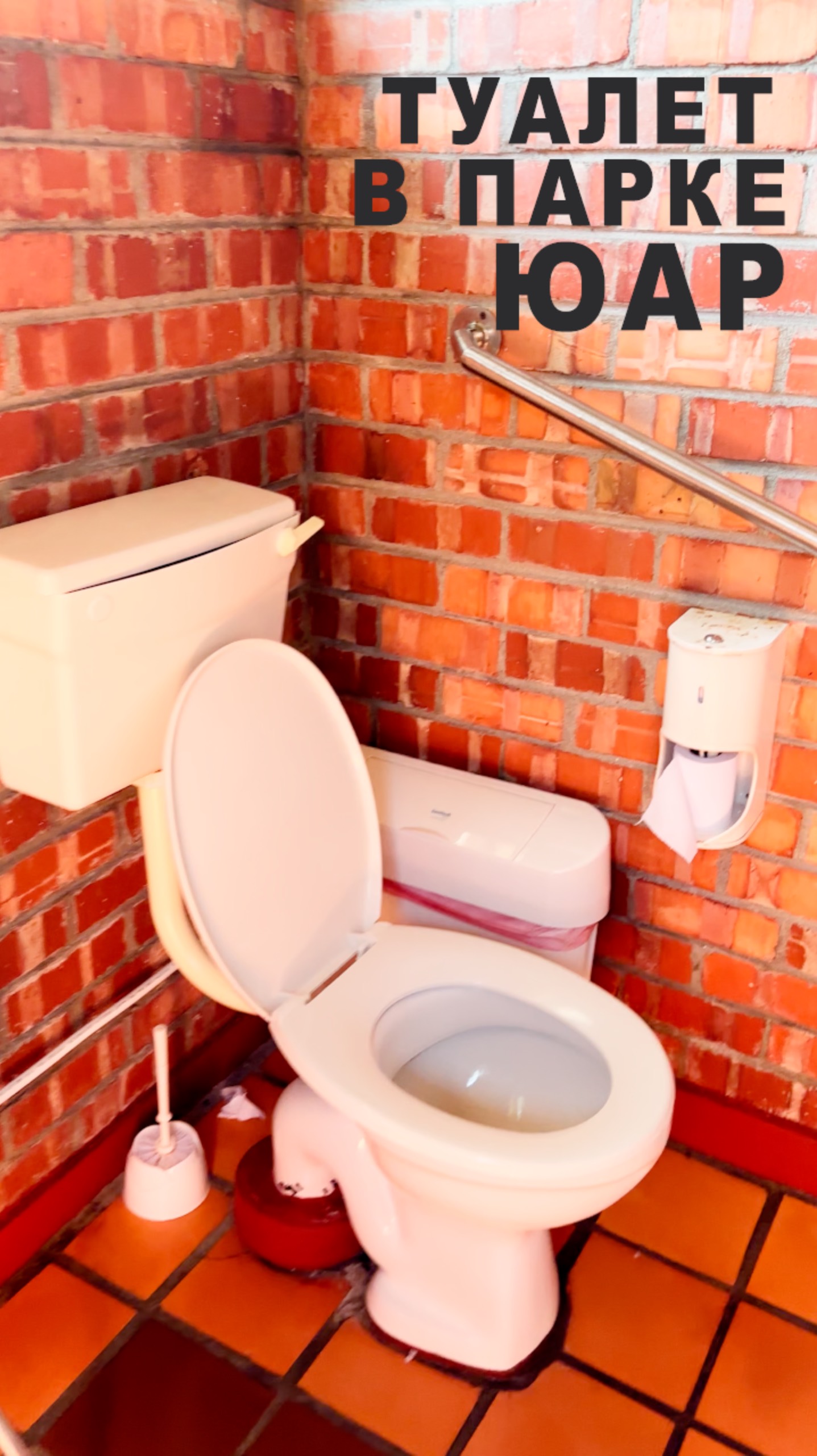 Туалет в парке False Bay Nature Reserve #ЮАР смотреть онлайн