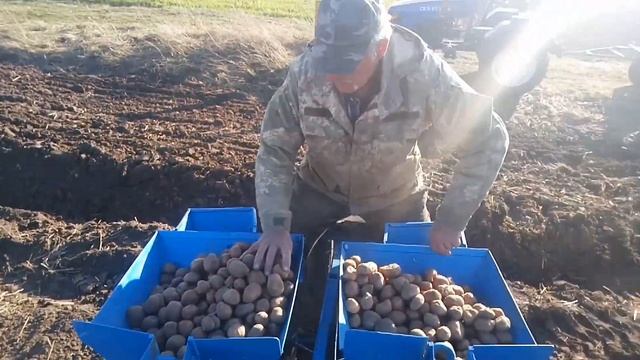 Посадка картошки 2020 шепетівськими саджалками вдосконаленими Скаутом Т-18. смотреть онлайн