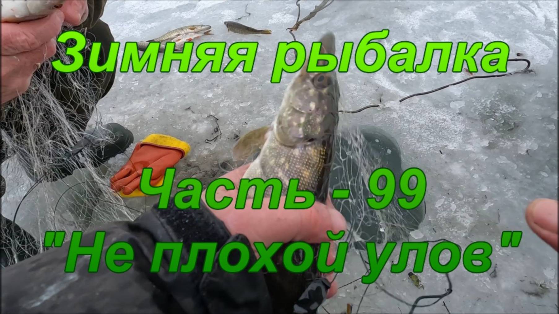 Зимняя рыбалка. Часть - 99. "Не плохой улов". смотреть онлайн