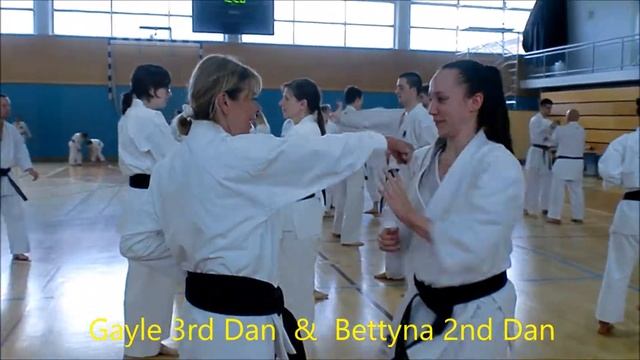 Karate Seminar in Slovenia 2017 (No.1) смотреть онлайн