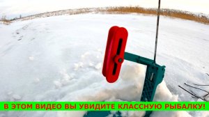 ДАВНО Я СТОЛЬКО РЫБЫ не ЛОВИЛ на ЖЕРЛИЦЫ! Вот ОН ПРЕДНЕРЕСТОВЫЙ ЖОР ЩУКИ! СРАБОТКА ЗА СРАБОТКОЙ!!!