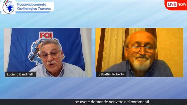 Live Streaming - Sabato 08 Maggio 2021 смотреть онлайн