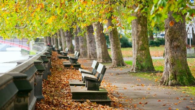 Прогулка в парке [Walk in the park] смотреть онлайн