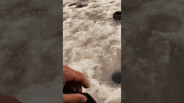 Хорошая попалась смотреть онлайн