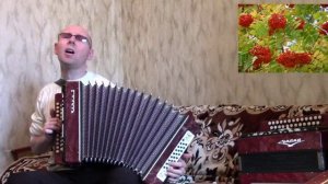 "Уральская рябинушка".(Кавер-версия).Гармонь.