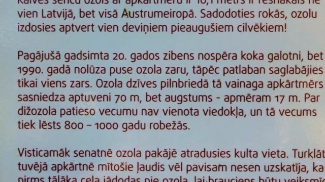 Дубовые дела. смотреть онлайн