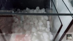 самп для аквариума