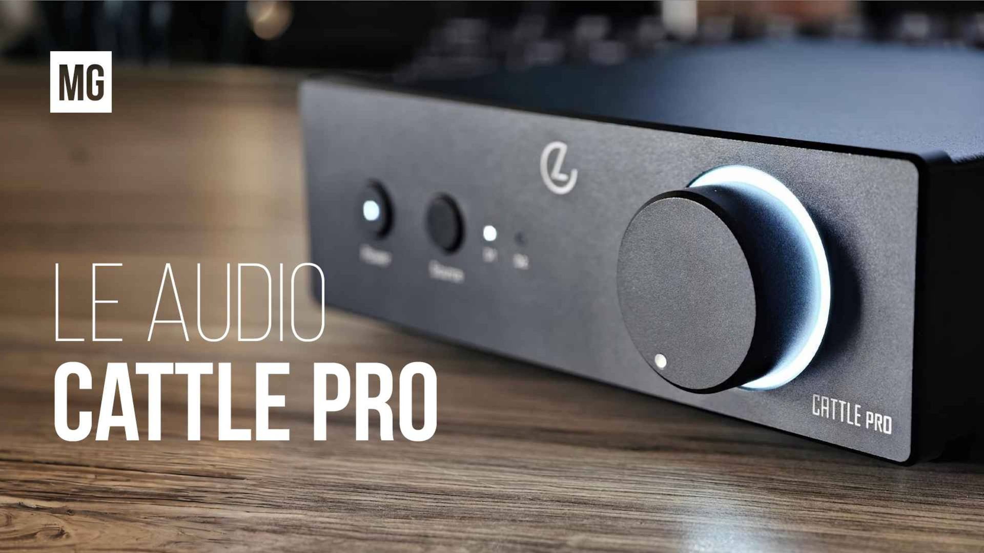 LeAudio Cattle Pro – Бюджетный усилитель для колонок с выходом на сабвуфер. смотреть онлайн