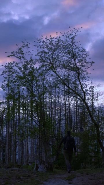 Успех это путь одиночек смотреть онлайн