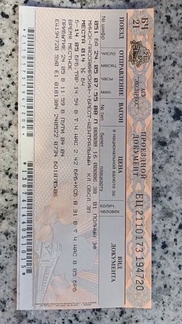 Wildlife Exploration