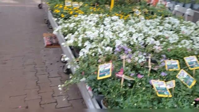 Занимаюсь Балконом*Загораю в Солярий* По магазинам * Ужин фаршированный перчик и Пюре из МКП.