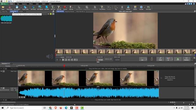VideoPad Tutorial: How to Export only Audio in VideoPad смотреть онлайн