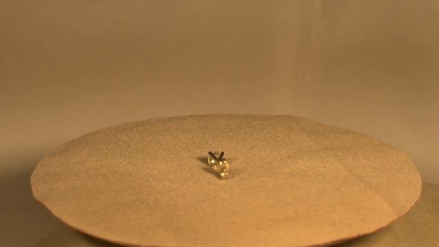 Clou D'oreille Pour Homme Or Blanc Et Diamant 0,20 Carat Chaton étoile - Www.e-bijouterie.com