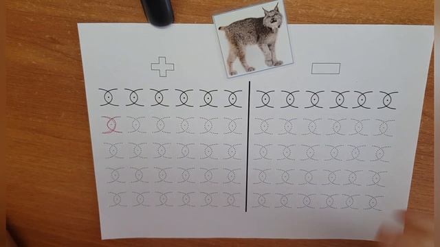 Межполушарный диктант. смотреть онлайн