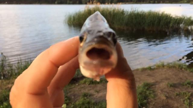Белгородское водохранилище смотреть онлайн