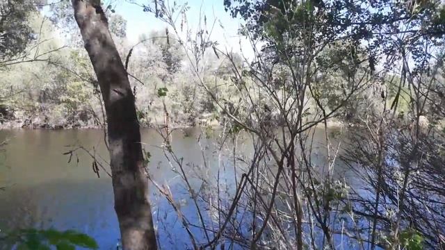 Не запланированный ПВД май 2020