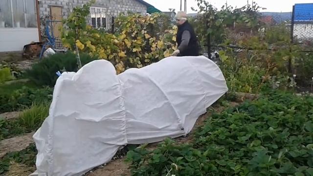 Перенос парника Даяс на другое место смотреть онлайн