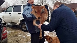 ПРОВОЖАЛИ ТЕЛОЧКУ В ТЮМЕНЬ❄️❄️❄️