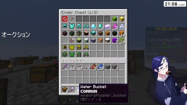 【Hypixel Skyblock】オークション解禁ッッ！　＃３ смотреть онлайн