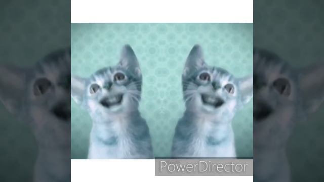 Preview 2 Numa Cat Effects (Klasky Csupo 2001 Effects) In CoNfUsIoN смотреть онлайн