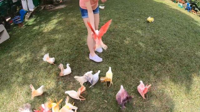 Отпуск 2020 смотреть онлайн