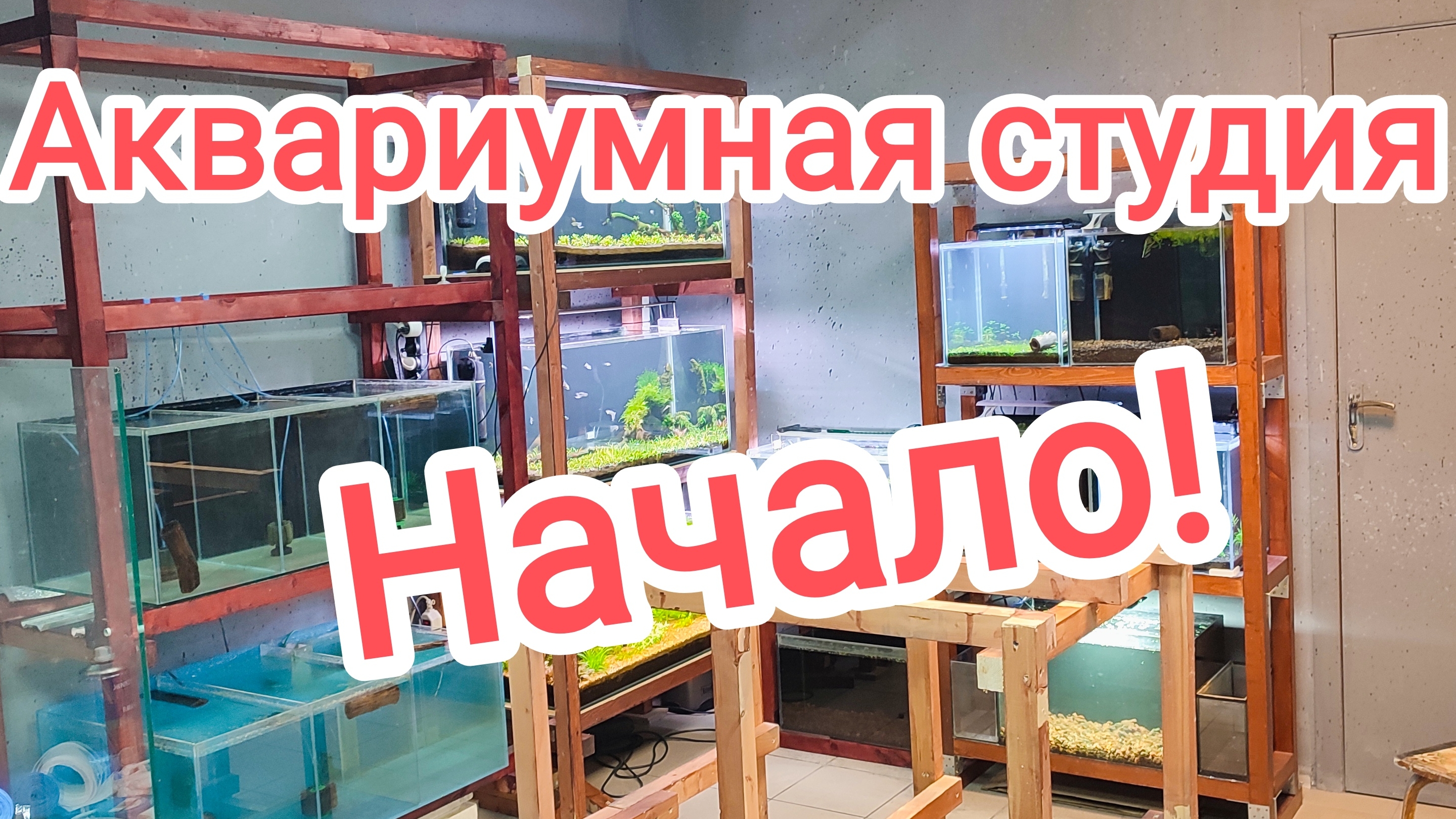 Строительство аквариумной студии. Начало! смотреть онлайн