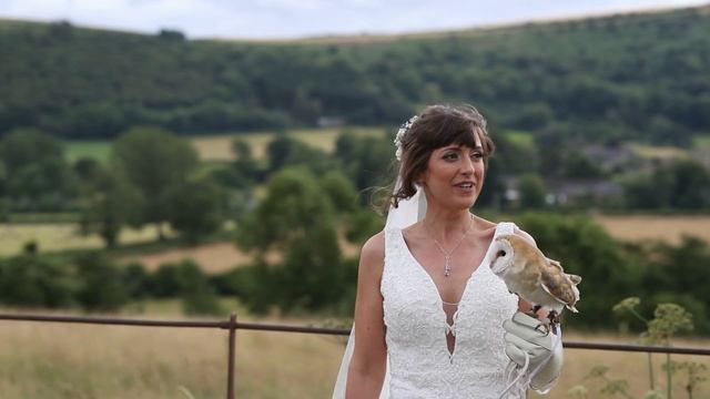 Owl wedding ringbearers! Apollo Falconry at Little Brampton Farmhouse wedding смотреть онлайн