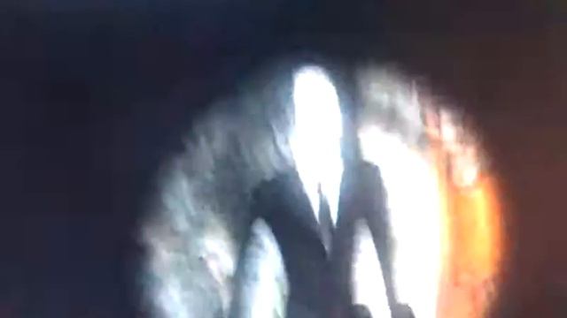 Пончик!Это пончик!