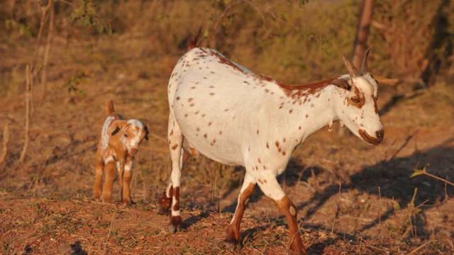 Images of Morondova,Madagascar смотреть онлайн